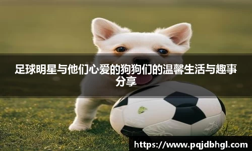 一竞技官方网站